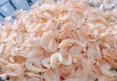 這些獲地理標(biāo)志保護(hù)的連云港特產(chǎn),你都知道嗎?