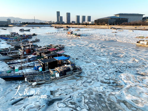 江蘇連云港強寒潮來襲，海岸現大面積冰凌奇觀
